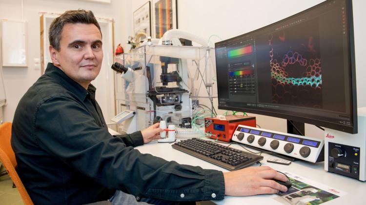 Очередной прорыв в исследованиях проф. Драга: ключевой фермент SARS-CoV-2, очень похожий на фермент SARS-CoV-1.