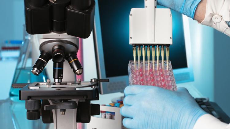 Ученые Силезского университета используют наномедицину для борьбы с раком