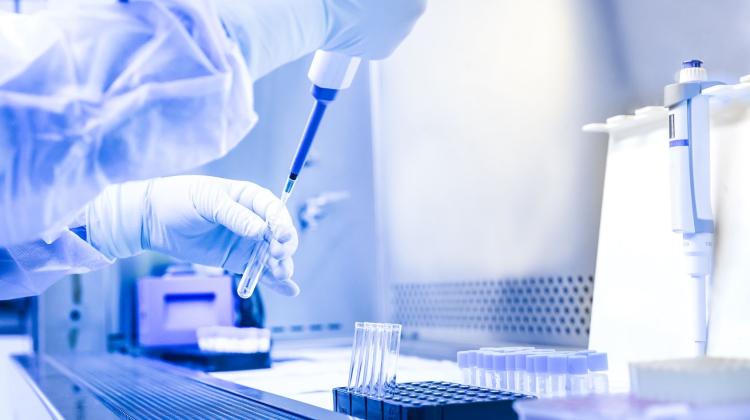 Эксперт: эпидемия коронавируса не достигла своего пика и дойдет до Польши