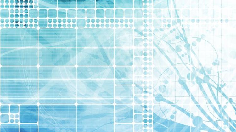 Познаньские университеты приостановили обмен студентами из-за коронавируса