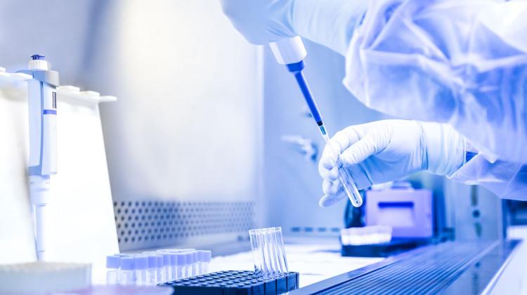 Доктор Мацей Тарковский от ПАП: мы выделили итальянский штамм вируса, это важный шаг