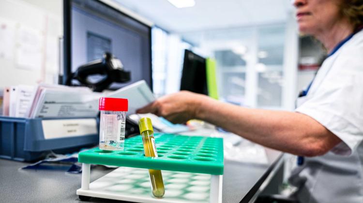 Эксперт: коронавирус не исчезнет с приходом весны