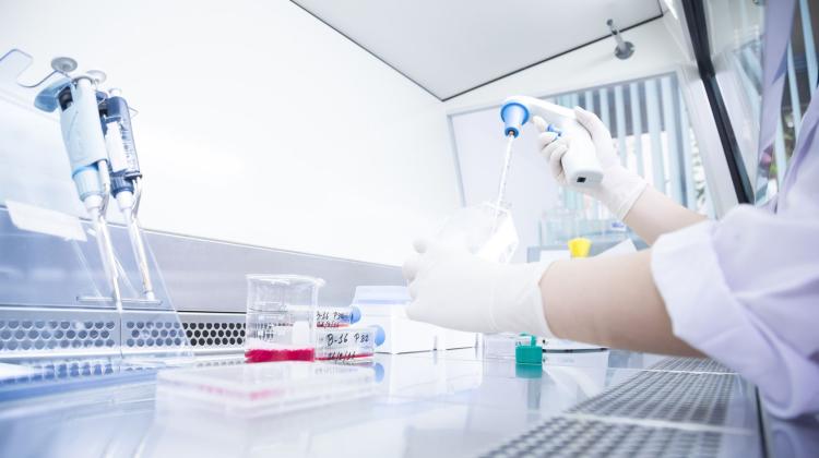 ПРО: Польские учёные начнут работу над вакциной от коронавируса