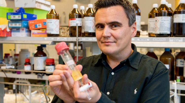 Лауреат премии FNP обнаружил ключевой фермент в борьбе с SARS-CoV-2