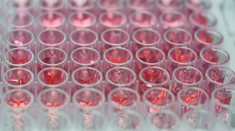 Белосток/ Медицинский университет открыл вторую в регионе лабораторию тестирования на коронавирус