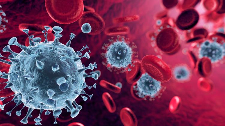 NCN: 10 миллионов для ученых, которые хотят исследовать COVID-19