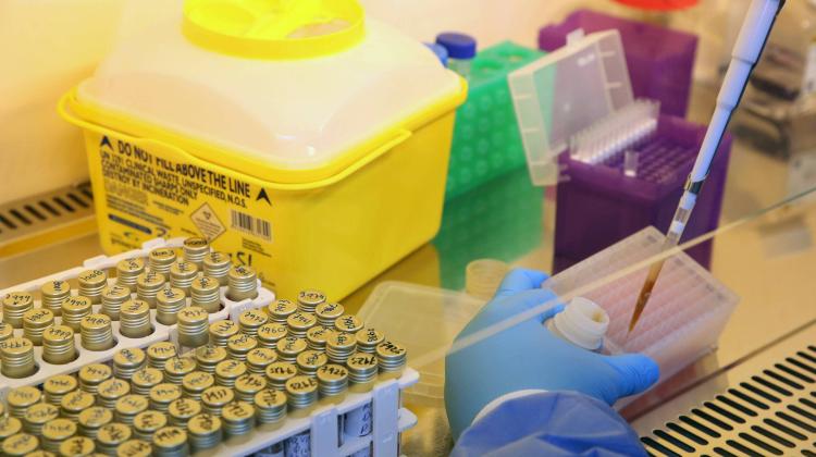 Волна исследований SARS-CoV-2 захлестнула мир