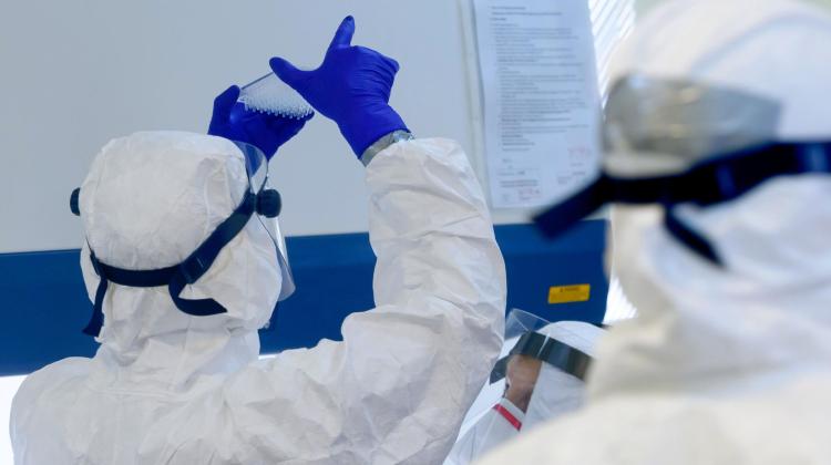 Сотрудничество польских исследователей с Европейским институтом биоинформатики