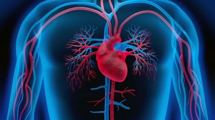 Пятница — первый день Недели сердца.