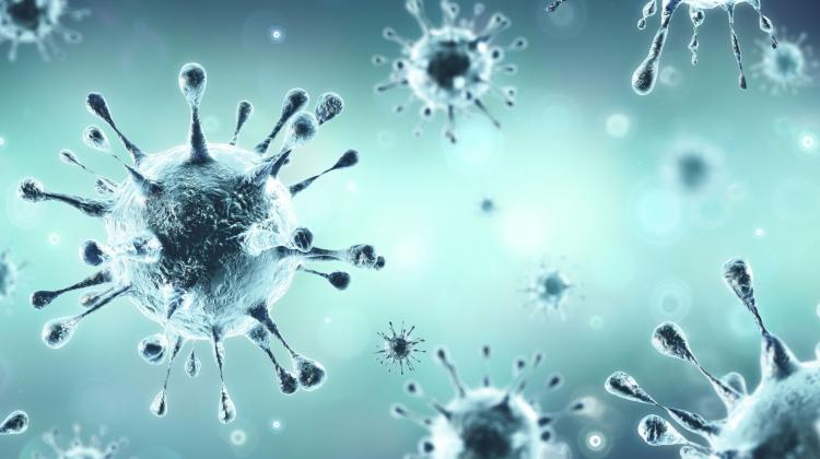 Экспресс-тесты и профилактика осложнений SARS-CoV-2 при финансировании ПРО