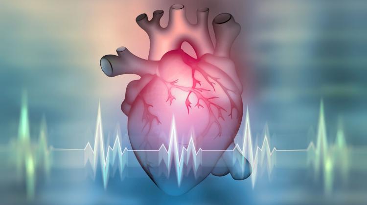 Эксперты: помните, что инфаркт опаснее Covid-19