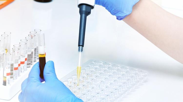 Университет Николая Коперника: согласие на начало клинических испытаний препаратов, помогающих бороться с эпидемией