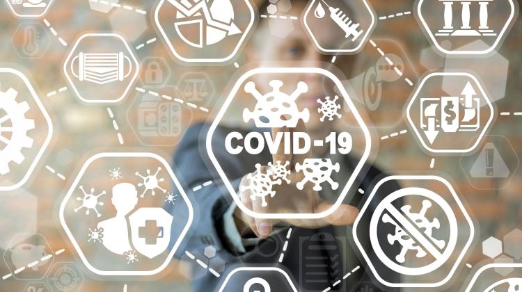 NCN: 12 миллионов злотых на исследования коронавируса и пандемии COVID-19