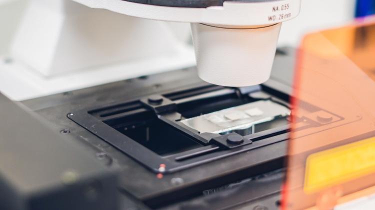 Силезия/ Выставка искусства и науки под названием «Рак» в онкологии в Гливице