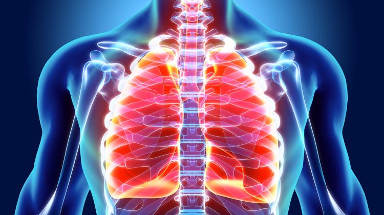 Врачи из Белостока и Щецина разработали более простой и безопасный метод диагностики заболеваний легких