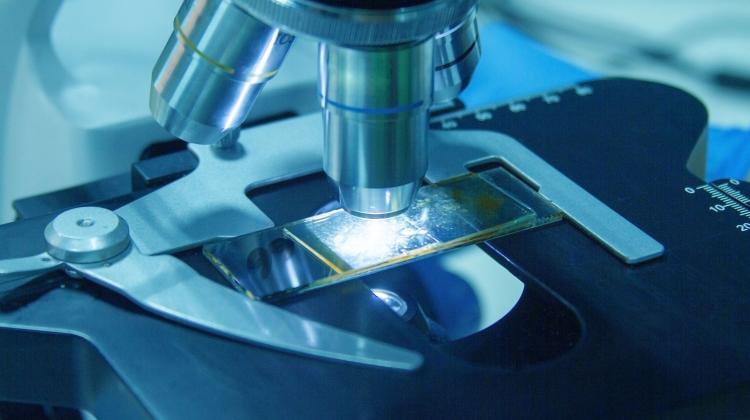 Лодзь/ Создан банк данных на миллион образцов для онкологической диагностики