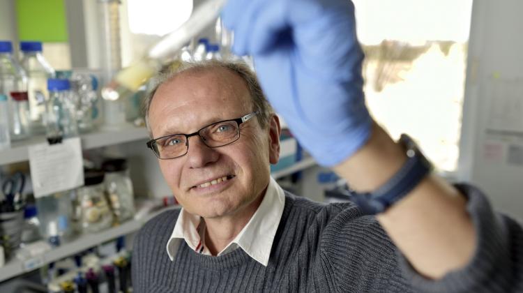 Высшая математика дает надежду пациентам с анемией Фанкони