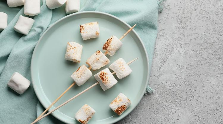 Ученые ГУУ: зефир на гриле может оказать вредное воздействие на здоровье