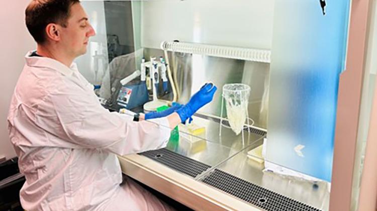 Онколитические вакцины улучшат лечение меланомы