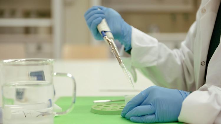 Заполнят костные дефекты и ускорят их регенерацию - Польские функциональные костные цементы