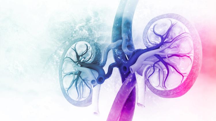 Эксперты: всего 4 процента пациенты с почечной недостаточностью проходят диализ на дому