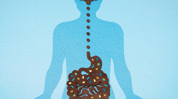 Эксперт: диета, микробиота и психическое здоровье — неразлучная троица