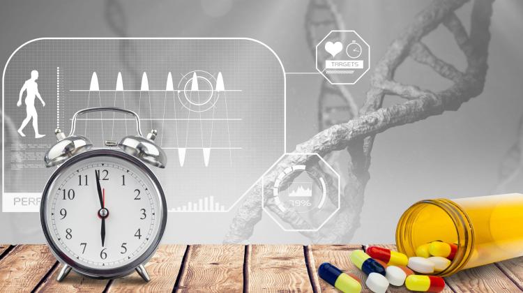 Гены биологических часов, инсулин и ожирение: поляки обнаружили интересную взаимосвязь