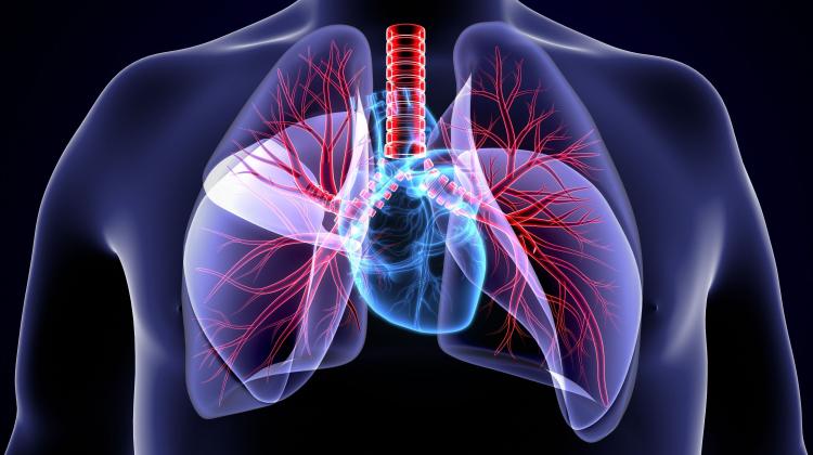 NFZ: Скажи, что я люблю тебя всем сердцем