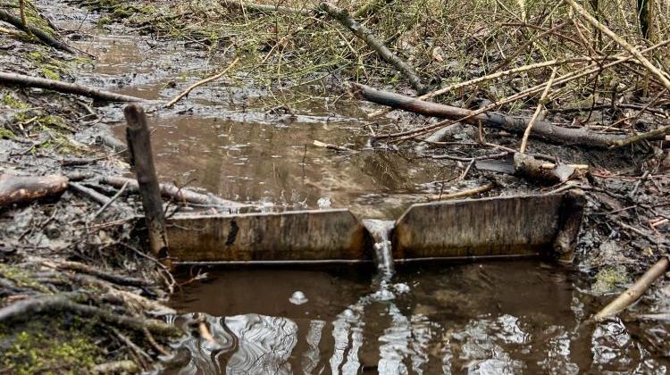 Кренологи вспоминают историю курортов Мазовии