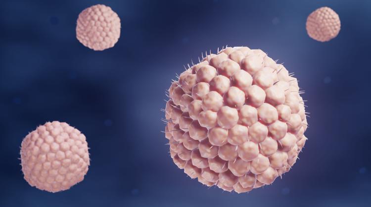 Эксперты: опоясывающий лишай не является доброкачественным заболеванием, он вызывает серьезные осложнения