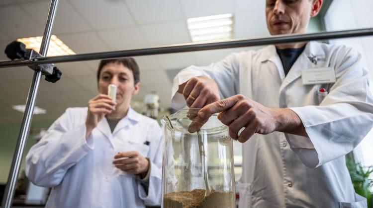 Ученые из Вроцлава воссоздали териак древней медицины