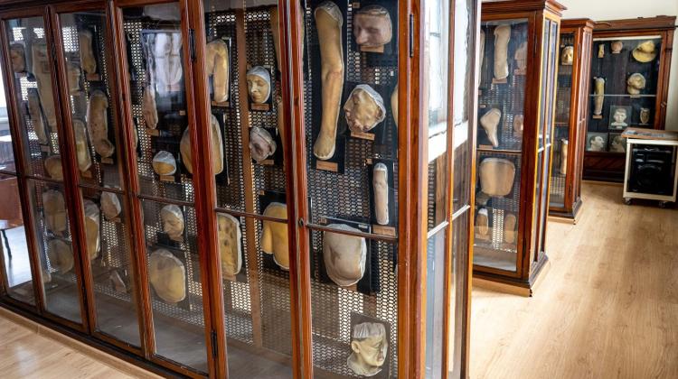 Самая большая коллекция дерматологических мюляжей находится в Медицинском университете Вроцлава.