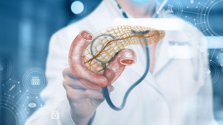 Кандидат наук. Петр Ржимский: открытие потенциального лекарства от рака поджелудочной железы — это еще не революция