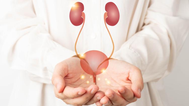 Пшемысль/ Инновационный метод лечения больных с почечной недостаточностью