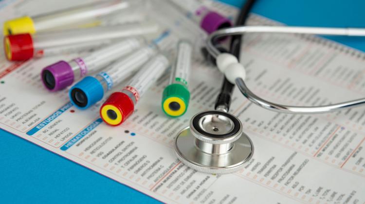 Ученые из CMKP будут исследовать, как химические вещества нарушают работу эндокринной системы