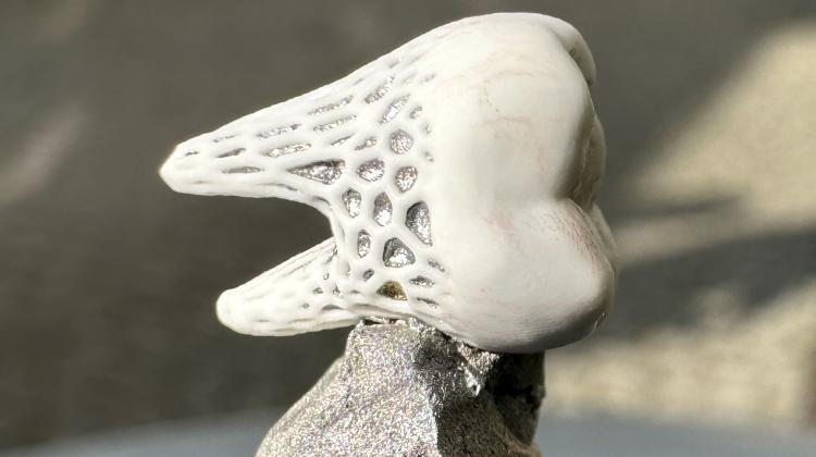 Ученые из Вроцлавского университета науки и технологий и Тайваня разрабатывают современные зубные имплантаты