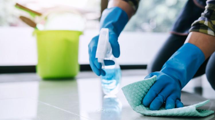 Новогодняя уборка/Микробиолог: стерильная чистота вредна для здоровья