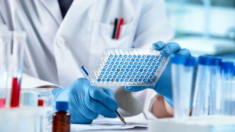 Эксперт: Передачи вируса птичьего гриппа среди людей пока не зафиксировано