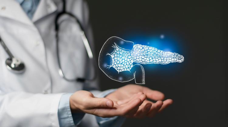 Результаты конкурса грантов на польские исследования рака поджелудочной железы