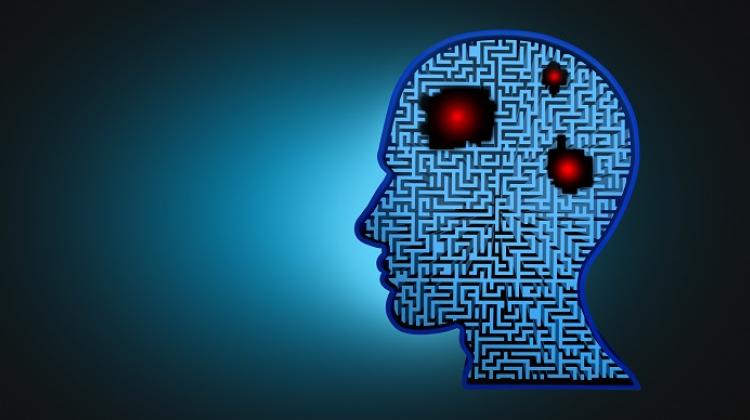 Польские открытия, важные для развития терапии глиомы