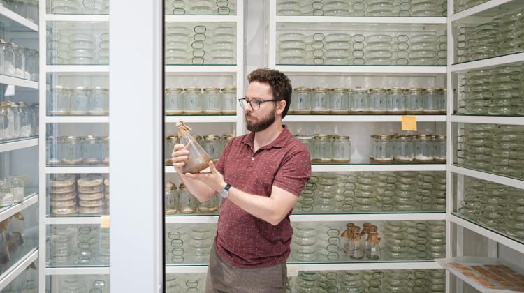 Биоремедиация как способ очистки почвы от токсичного креозота