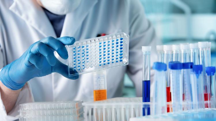 Суд подтвердил позицию уполномоченного по правам пациентов относительно использования метода ILADS в лечении болезни Лайма