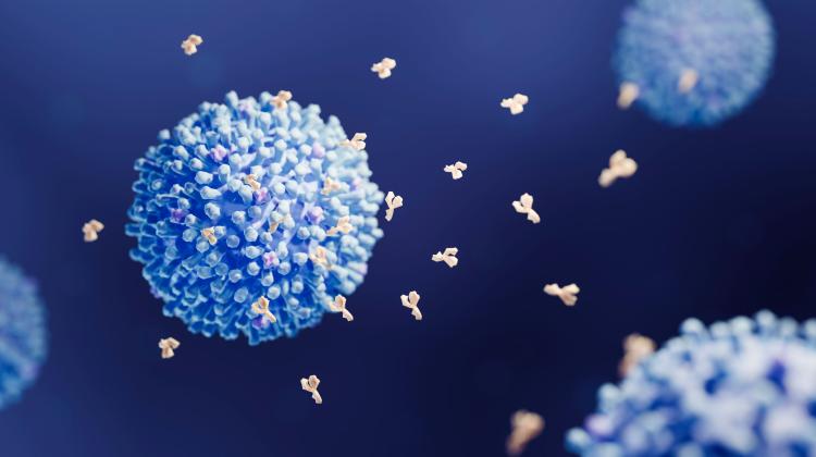 Эксперты: к симптомам первичных иммунодефицитов относятся также аллергия и рак