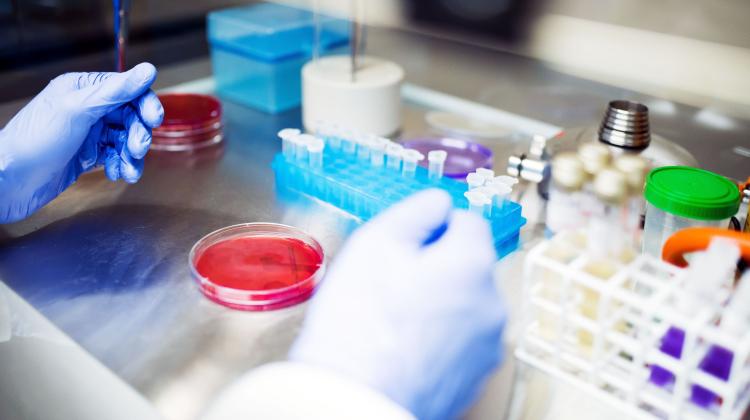 Эксперты: редкие эозинофильные заболевания, опасные для жизни, но поддающиеся эффективному лечению