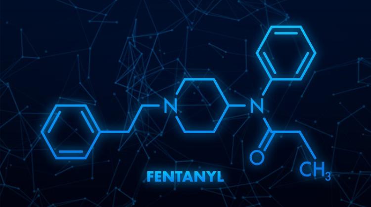 Проф. Роман: работа над вакциной от фентанила ведется