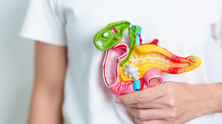 Эксперты: в Польше рак желчных протоков диагностирован слишком поздно и плохо лечится