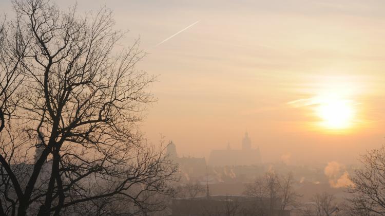 Проф. Э. Чарнобельска: жизнь в смоге приводит к раку в более позднем возрасте