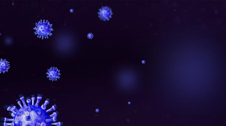 Краков/ Ученые подтверждают: дезинфекция города приносит результаты