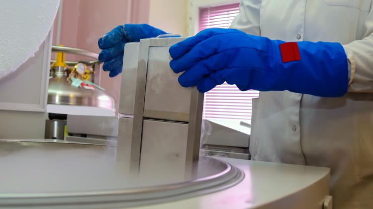 Эксперты: пуповинная кровь уже 35 лет спасает здоровье и жизни людей