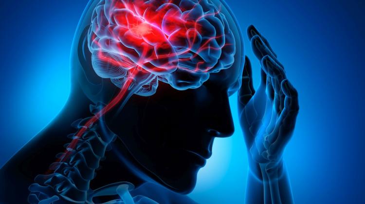 Эксперты: при инсульте время имеет значение, не будем забывать об этом во время эпидемии